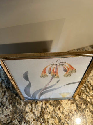 Vintage Gold Frame, 8x10”    MTS