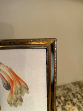 Vintage Gold Frame, 8x10”    MTS