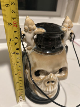Light-Up Skull Lantern-RSV|108999