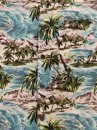 Men's Medium American Eagle Outfitters Hawaiian Shirt RCD