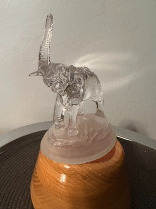 Elephant Crystal on Frosted Mound MTS