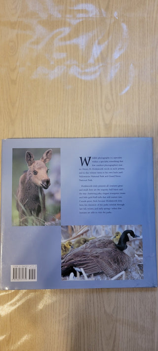 JMD- "Yellowstone & Grand Teton" Book|78369