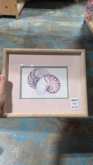 VTG Wall Art Sea Shells