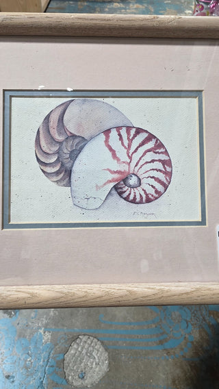 VTG Wall Art Sea Shells