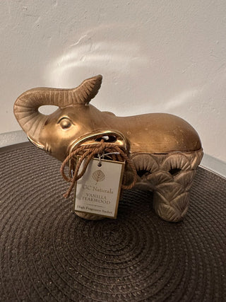 Elephant 5x7.5 Gold Sachet|52442