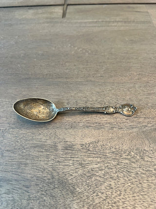 Silver plated spoon Seattle|60213