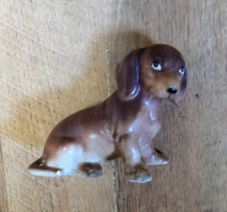 MW Leftons Dachshund MTS|98285