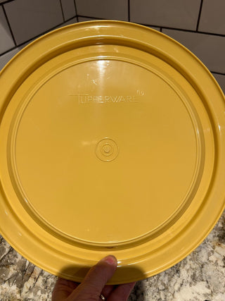 Tupperware 9” Pie Taker   MTS|106963
