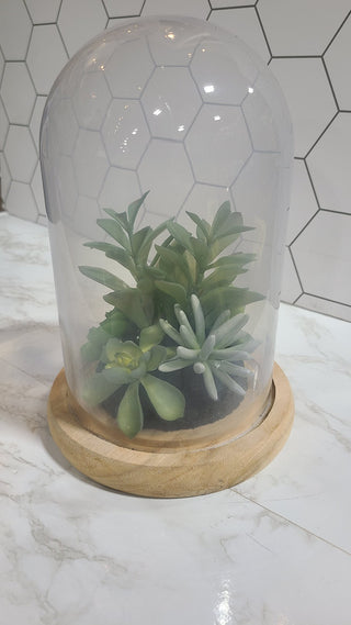 Frosted Glass Cloche Terrarium