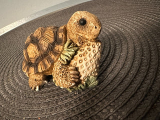 Turtle & Strawberry Molded|55889