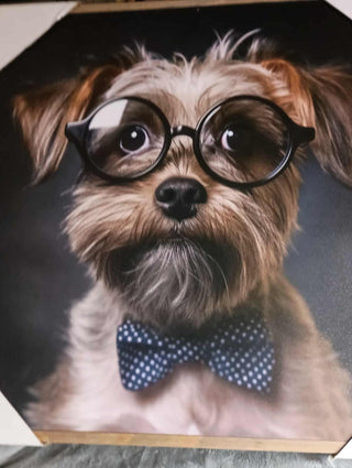 Dog with glasses rsv