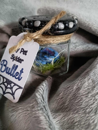 My pet spider rsv