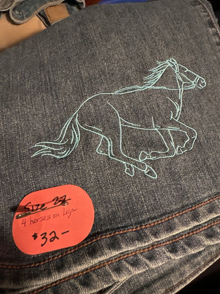 Embroidered Pants, size 22, #SM