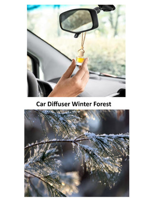 Car Diffuser Winter Forest MTS|132383