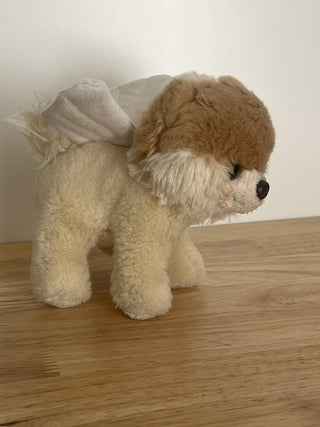 RSV Itty Bitty Cupid Boo  Worlds Cutest Dog|83915