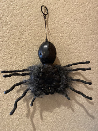 Take One 2004 mechanical wolf spider -RCD