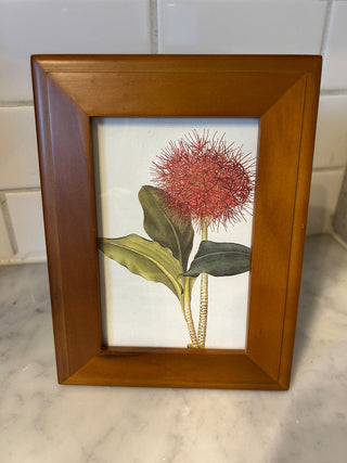 Wood Frame    MTS