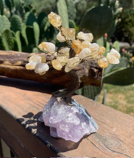 Citrine Crystal with Amethyst Base Bonsai Tree RCD|77383