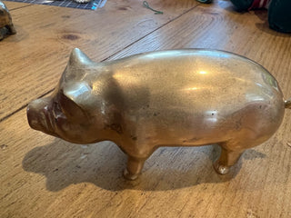 Brass Pig MTS|125874