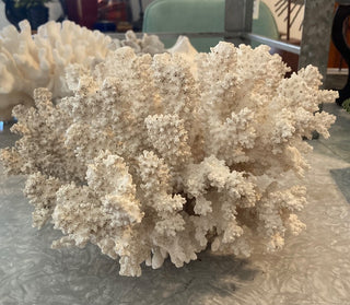 Fingerling Stem Coral (12x12x7) RSV|78785