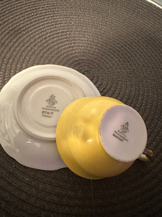 Teacup Tirschenreuth 828 MTS|128671