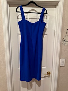 Dress the Population blue dress