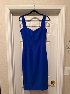Dress the Population blue dress