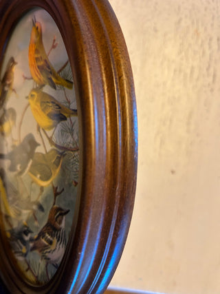 Small Oval Wood Frame with Vintage Bird Rrint Riffraff Works RSV|111170