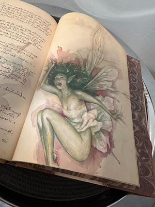 Book Pressed Fairy Book Hardcover MTS|86616