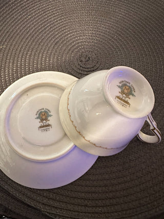 Vintage Teacup/ Saucer Noritake Harmony  MTS