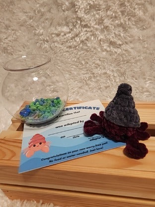 Aquatic Worry-free Pet: Hermit Crab- gray, dark red, round aquarium, gems, adoption certificate