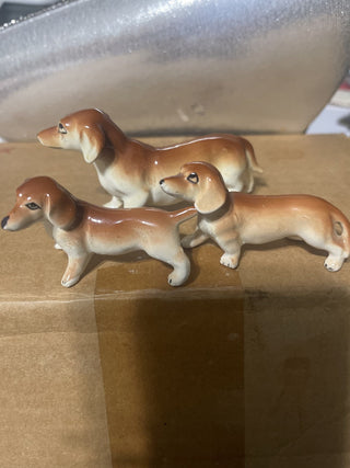 Three wiener dogs two have been repaired rsv