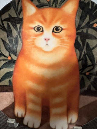 Cat Ashley - Orange Tabby MTS