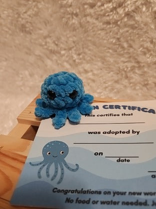 Aquatic Worry-free Pet: Octopus- turquoise, round aquarium, gems, adoption certificate