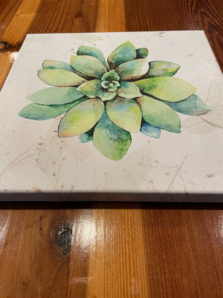 Wrapped Canvas Succulent Print ~MTS|90360