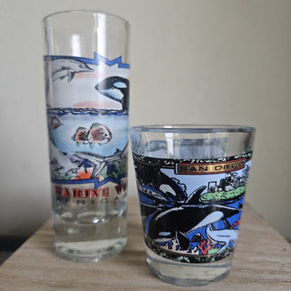Vintage San Diego Shot Glass w/ Orcas (BRI) - MTS|144157