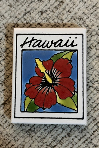 Magnet - Hawaii