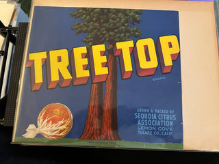 Tree Top Authentic Citrus Farm Crate Label EC112B MTS|100431