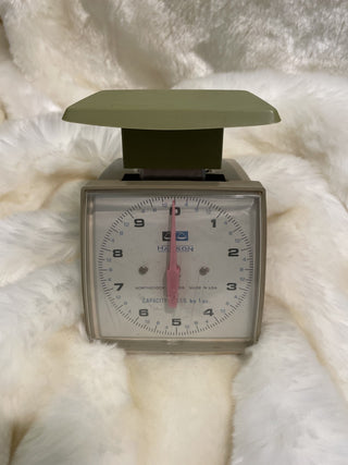 Hanson Kitchen Scale RCD|60117