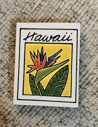 Magnet - Hawaii RCD