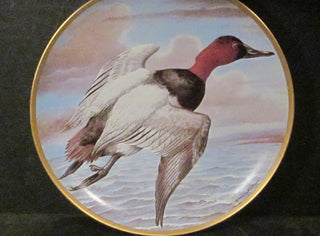 Franklin Porcelain Water Birds of the World Canvasback 1981 #47 VV MTS|99446