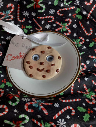 My pet Cookie