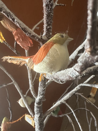 Holiday Home Birch Tree #62 VV MTS|125513