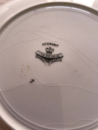 Newport" pattern ceramic plate produced by J & G Meakin Hanley England