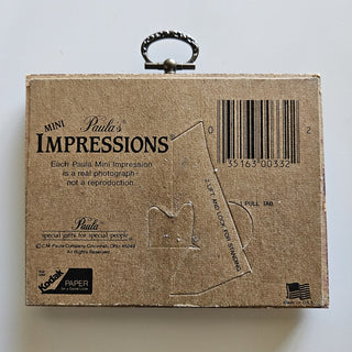 Mini Paula's Impressions | Kitten Vignette - Art (BRI) - MTS|103950