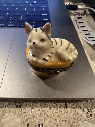Trinket box with kitten in a yellow basket #62 VV MTS