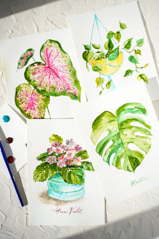 VB Houseplants Watercolor Painting Kit w/Paint & Brush RCD