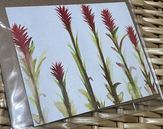 Paint Brush Print Blank Inside Greeting Card MTS|124414