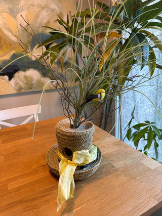 Bird House Hat (bird & plant included)