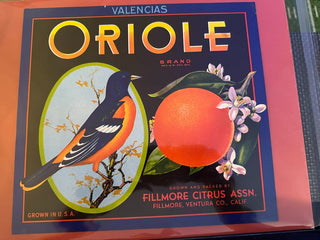 Oriole Authentic Citrus Farm Crate Label EC068-30 MTS